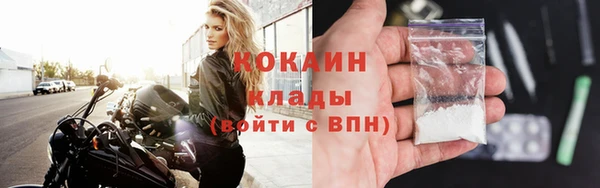 ГАЛЛЮЦИНОГЕННЫЕ ГРИБЫ Арсеньев