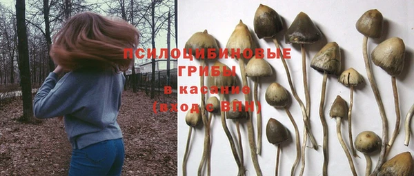 гидропоника Баксан