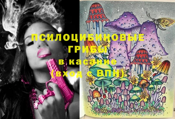 прущая мука Аркадак